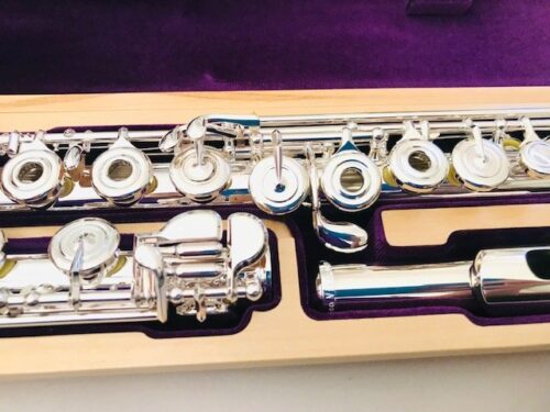IMG_8446.jpg New! Trevor James Virtuoso Voce, Solid Silver, Offset G, C# Trill, Factory Warranty!