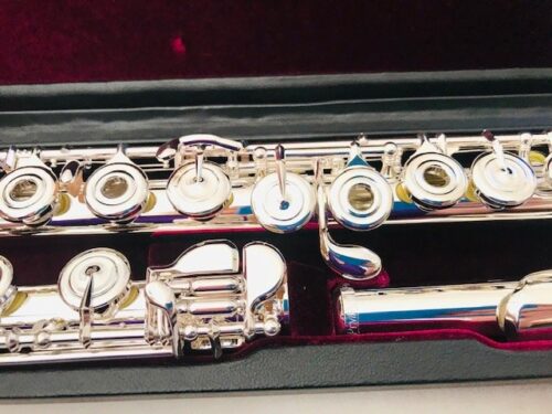 New Trevor James Privilege, Silver Lip/Riser, Offset G, B foot, Open Hole, Factory Warranty!