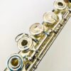 IMG_8714.jpg New Haynes Weissman Q1 HRODV Flute, Silver Haynes Classic Headjoint, Offset G, D# Roller, Tone Holes, Warranty!