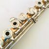 SOLD - DiZhao Handmade 14k Gold/Silver Flute, 6k Gold Lipplate/14k Riser, Engraved, Overhauled, C# Trill, Offset G, High E Facilitator, Warranty!