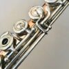 IMG_9084.jpg SOLD - Haynes Custom Fusion Flute, 14k Silver Platinum, C# Trill, Offset G, Refurbished, Warranty!