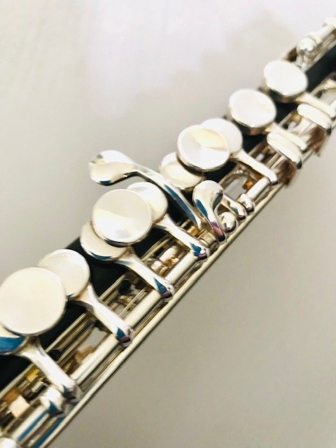 IMG_9257.jpg New Weissman Grenadilla and Cocobolo Wood Piccolo, Reverse Wave Headjoint, Warranty!