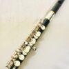 IMG_9269.jpg New Weissman Grenadilla Wood Piccolo, Straight Headjoint, Warranty!