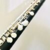 IMG_9272.jpg New Weissman Grenadilla Wood Piccolo, Straight Headjoint, Warranty!