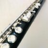 Philipp Hammig 658/2 Grenadilla Wood Flute, Reconditioned with Warranty!