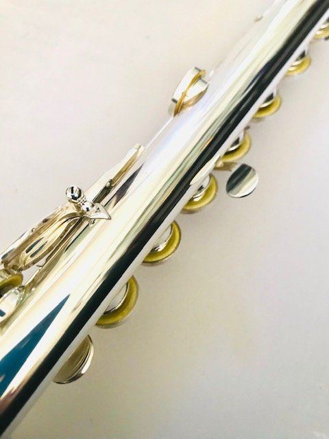 Altus 1307 All Silver Flute, In-line G, B foot, Split E Mechanism, Warranty!