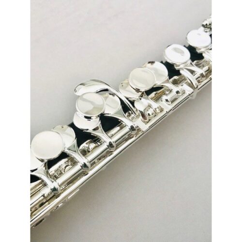 image_616426b87298a_IMG_5023.jpg New! Burkart Resona Wave Piccolo - Grenadilla Wood