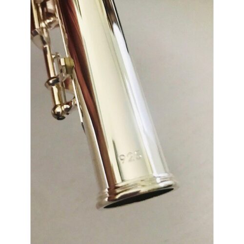 image_63906cc68e013_IMG_1213.jpg Dean Yang Emerald Flute E2BG Solid Silver Headjoint and body Factory Warranty!