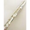 image_63906fe9a260d_IMG_1193.jpg New! Dean Yang Amber A2BG Flute Sterling Lip/Riser Factory Warranty!