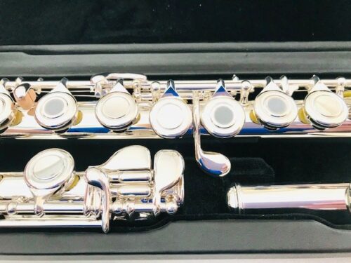 image_63c6a4054432a_IMG_2152.jpg New! DiZhao 401 BOF Flute Factory Warranty!