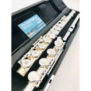 image_63c6d0f2a6bde_openbox.jpg New DiZhao DZ-701 BEF Solid Silver Offset G, Split E Mechanism, Factory Warranty