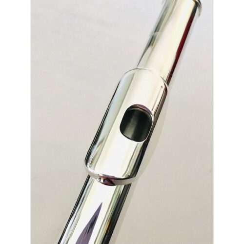 New DiZhao DZ-701 BEF Solid Silver Offset G, Split E Mechanism, Factory Warranty