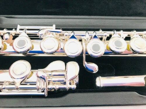 New DiZhao DZ-701 BEF Solid Silver Offset G, Split E Mechanism, Factory Warranty