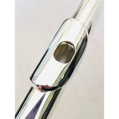 image_63f22ee7e7f51_IMG_2797.jpg New! Trevor James 12x Student Flute Offset G Open Hole C Foot Factory Warranty!