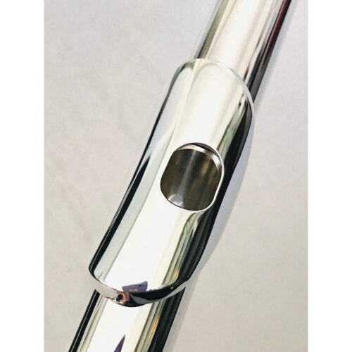 New! Trevor James 10x Flute Offset G Closed Hole C foot Sterling Silver lip/Riser Factory Warranty!