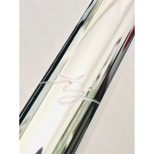 New! Trevor James 10x Flute Offset G Closed Hole C foot Sterling Silver lip/Riser Factory Warranty!