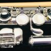 New! Trevor James 10x Flute Offset G Closed Hole C foot Sterling Silver lip/Riser Factory Warranty!