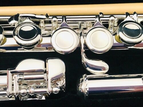New! Trevor James 10x Flute Offset G Closed Hole C foot Sterling Silver lip/Riser Factory Warranty!