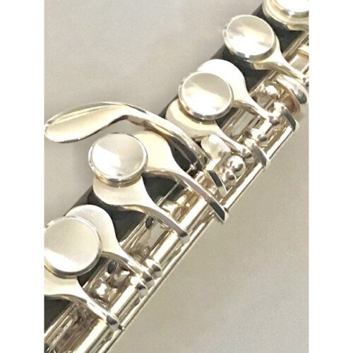 Hammig Cocus 651/4 With Wave Headjoint, Sterling Mechanism, High G# Mechanism, Warranty!