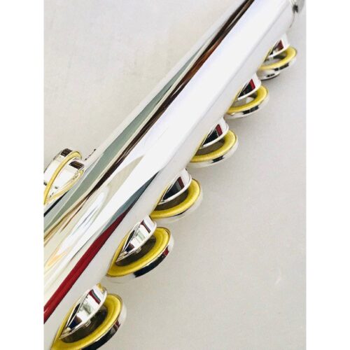 image_6414452e284e2_IMG_6554.jpg New Trevor James Silver Plated Alto Flute, Curved and Straight Headjoints, Sterling Lip/Riser, Factory Warranty!