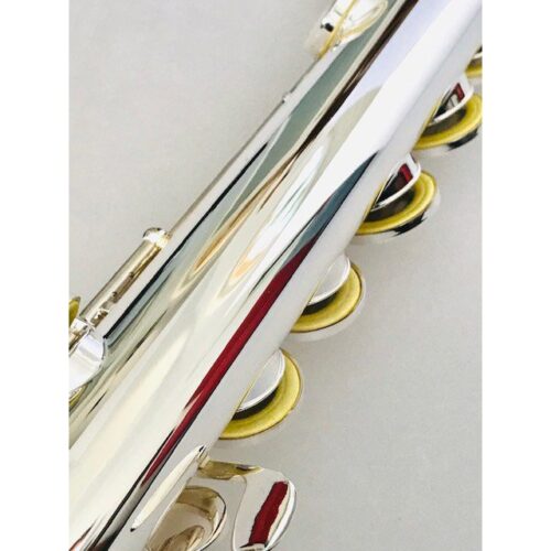 image_6414452e2ca2f_IMG_6555.jpg New Trevor James Silver Plated Alto Flute, Curved and Straight Headjoints, Sterling Lip/Riser, Factory Warranty!