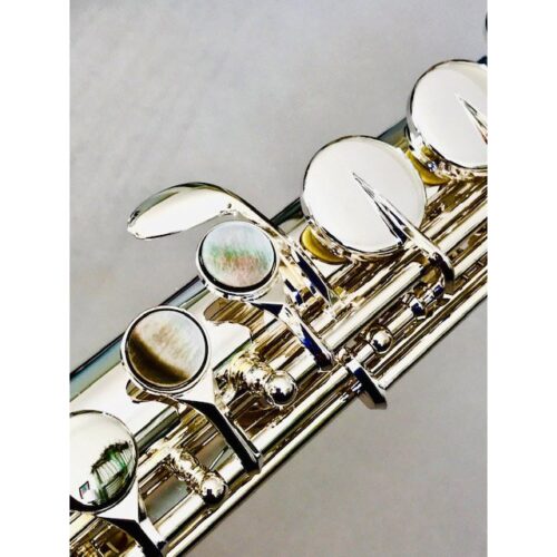 image_6414452e3efe2_IMG_6559.jpg New Trevor James Silver Plated Alto Flute, Curved and Straight Headjoints, Sterling Lip/Riser, Factory Warranty!