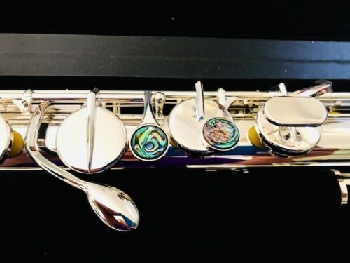 New! DZB, VC Vertical Bass Flute, Warranty!