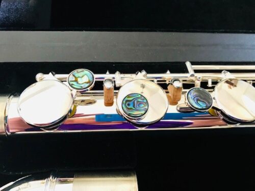 New! DZB, VC Vertical Bass Flute, Warranty!