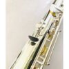 New! DZB, VC Vertical Bass Flute, Warranty!