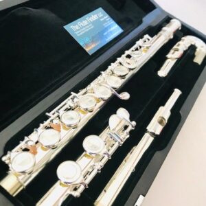 New DiZhao DZ-301 CEF, Offset G, Closed Hole, C foot, Curved and Straight Headjoints, Split E, Silver Lip/Riser, Factory Warranty!