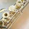 Just In!  New Trevor James Virtuoso II Solid Silver Flute, Offset G, C# Trill, Heavywall, Warranty!