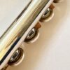 Lillian Burkart Elite 5-95 Platinum Enhanced Handmade Flute, Offset G, C# Trill, M2 Headjoint, 1-year Warranty!