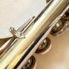 Lillian Burkart Elite 5-95 Platinum Enhanced Handmade Flute, Offset G, C# Trill, M2 Headjoint, 1-year Warranty!