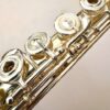 New Haynes Weissman Q2 HROD Flute, Silver Haynes Classic Headjoint and body, Offset G, D# Roller, C# and Trill Key, Soldered Tone Holes, 14k Wall, Warranty!