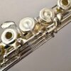 New! Pearl PF-795 Elegante Series Flute, Handmade Solid Silver, Offset G, B foot, Split E Mechanism, C# Trill Key, Factory Warranty!