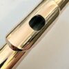 Powell 9k Aurumite Conservatory Flute, Sterling Mechanism, Solid 9k Gold Lip, Inline G, Lumina Cut, 1-Year Warranty!