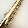 Powell 9k Aurumite Conservatory Flute, Sterling Mechanism, Solid 9k Gold Lip, Inline G, Lumina Cut, 1-Year Warranty!