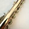 Powell 9k Aurumite Conservatory Flute, Sterling Mechanism, Solid 9k Gold Lip, Inline G, Lumina Cut, 1-Year Warranty!