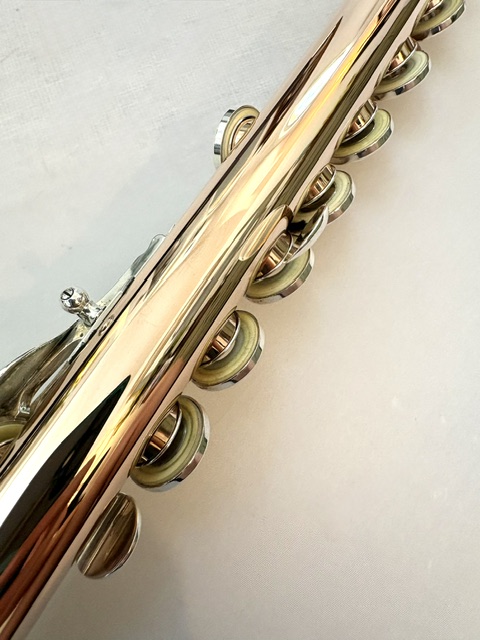 Powell 9k Aurumite Conservatory Flute, Sterling Mechanism, Solid 9k Gold Lip, Inline G, Lumina Cut, 1-Year Warranty!