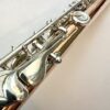 Powell 9k Aurumite Conservatory Flute, Sterling Mechanism, Solid 9k Gold Lip, Inline G, Lumina Cut, 1-Year Warranty!