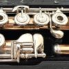 Powell 9k Aurumite Conservatory Flute, Sterling Mechanism, Solid 9k Gold Lip, Inline G, Lumina Cut, 1-Year Warranty!
