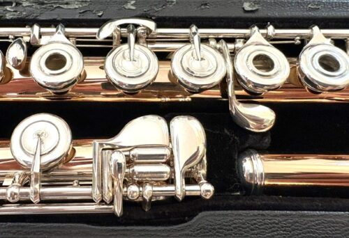Powell 9k Aurumite Conservatory Flute, Sterling Mechanism, Solid 9k Gold Lip, Inline G, Lumina Cut, 1-Year Warranty!