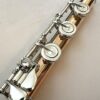Powell 9k Aurumite Conservatory Flute, Sterling Mechanism, Solid 9k Gold Lip, Inline G, Lumina Cut, 1-Year Warranty!
