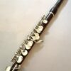 Hammig Cocus Handmade 651/4 Piccolo With Wave Headjoint, Sterling Mechanism, High G# Mechanism, Warranty!