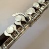 Hammig Cocus Handmade 651/4 Piccolo With Wave Headjoint, Sterling Mechanism, High G# Mechanism, Warranty!