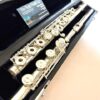 IMG_2160 Haynes Amadeus AF-900 Flute, Sterling Silver Headjoint Body Foot Mechanism, Offset G, C# Trill, D# Roller, 14k Lip/Riser, Warranty!