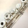 IMG_2171 Haynes Amadeus AF-900 Flute, Sterling Silver Headjoint Body Foot Mechanism, Offset G, C# Trill, D# Roller, 14k Lip/Riser, Warranty!
