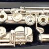 IMG_2172 Haynes Amadeus AF-900 Flute, Sterling Silver Headjoint Body Foot Mechanism, Offset G, C# Trill, D# Roller, 14k Lip/Riser, Warranty!