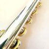 Powell Sonare PF-501 Flute, Offset G, 1-Year Warranty!