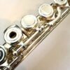 Powell Sonare PF-501 Flute, Offset G, 1-Year Warranty!